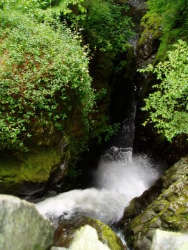 Aira Force
